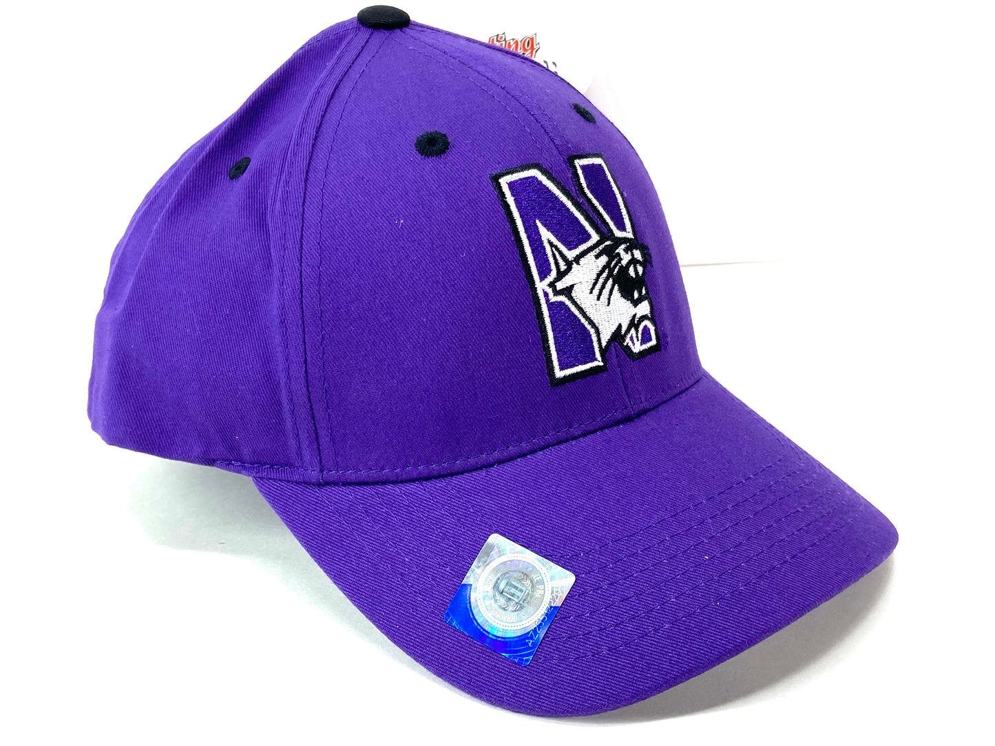 Northwestern Wildcats NCAA 2018 Embroidered Logo Cap by Captivating Headwear