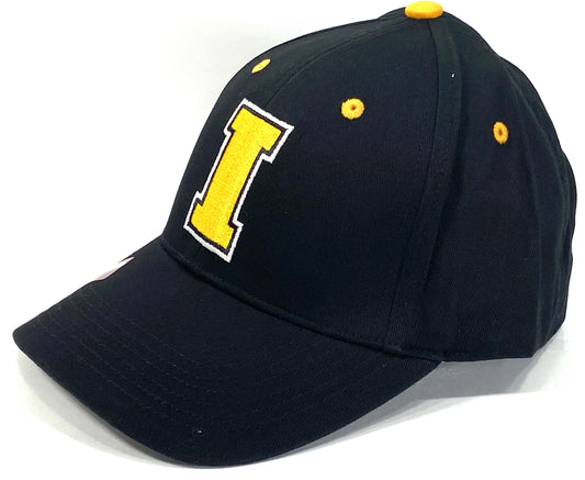 Iowa Hawkeyes NCAA Team Color Logo Hat by Captivating Headwear