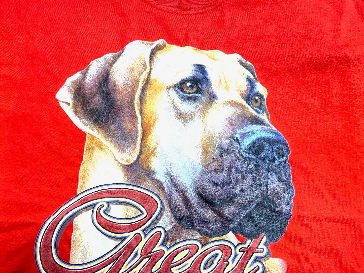 Great Dane Red Rescue Large T-Shirt by Unknown