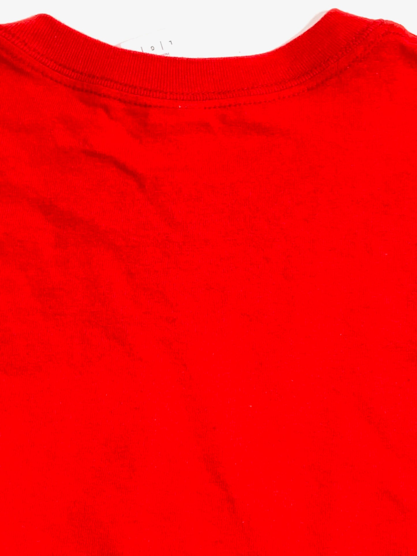 Great Dane Red Rescue Large T-Shirt by Unknown