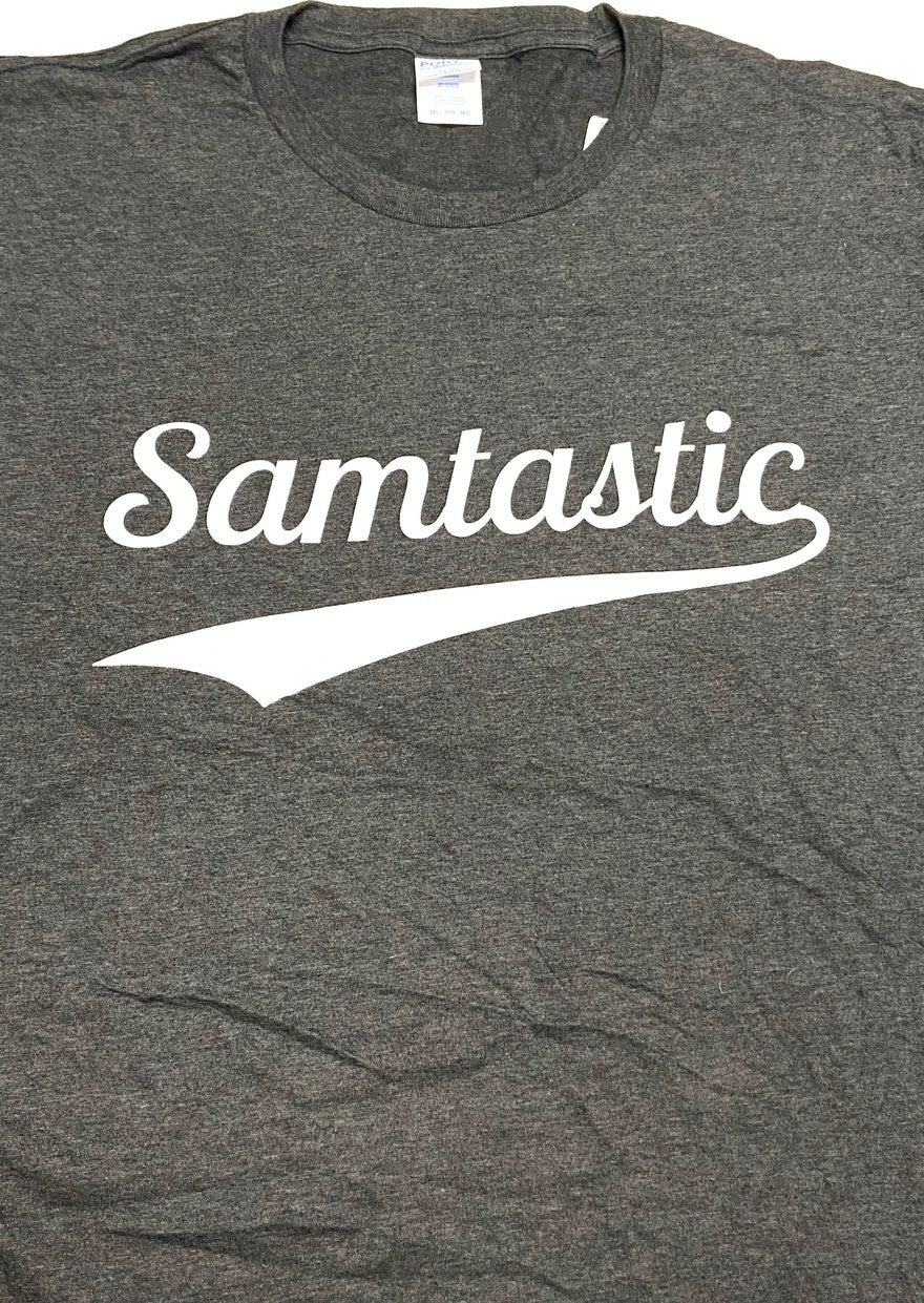 Samtastic Men's 3XL Gray T-Shirt by Unknown