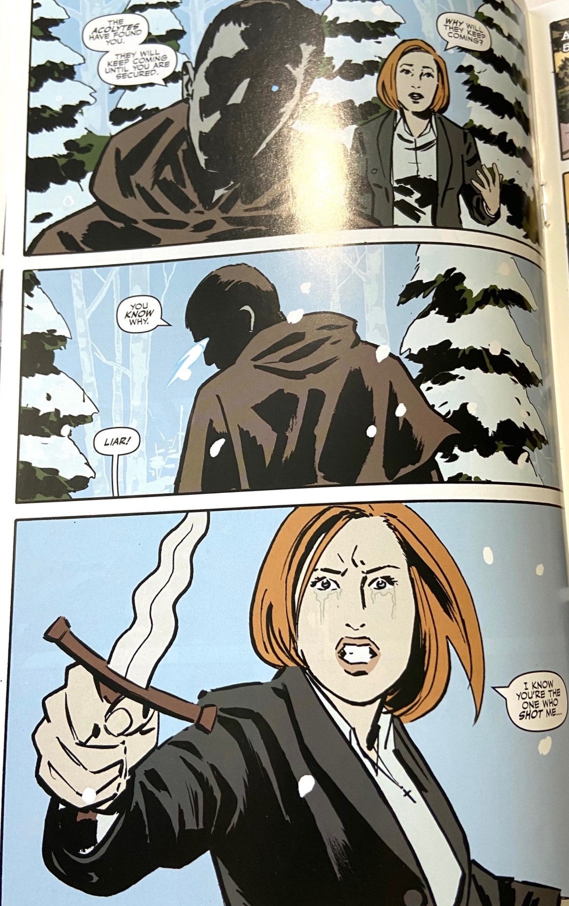 The X-Files: Season 10, Issue #2 "Believers" (Part 2) by IDW Publishing, Inc.