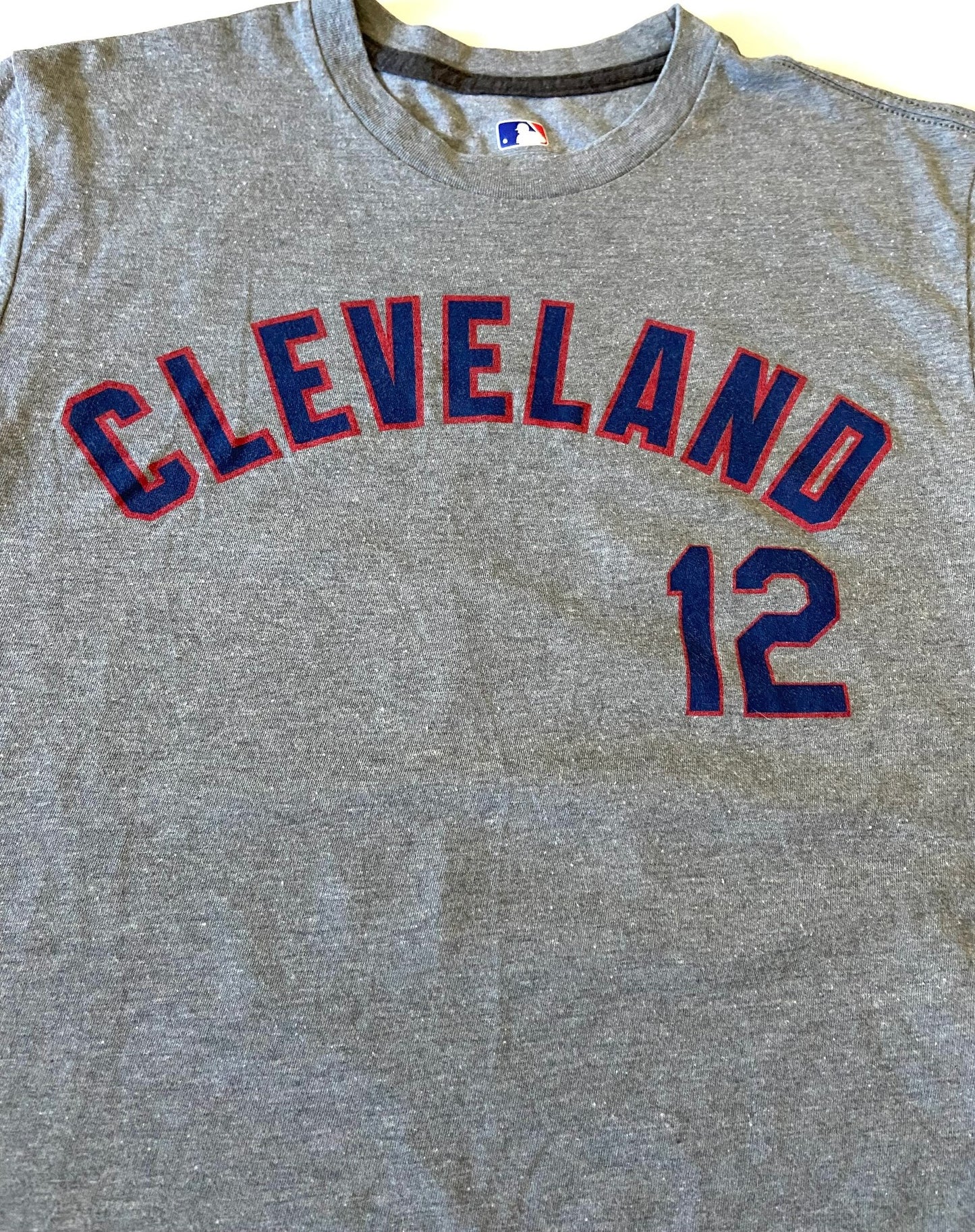 Francisco Lindor 2017 MLB Cleveland Indians Medium Gray Jersey-Style (Used) T-Shirt by MLB