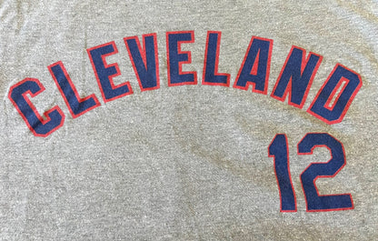 Francisco Lindor 2017 MLB Cleveland Indians Medium Gray Jersey-Style (Used) T-Shirt by MLB